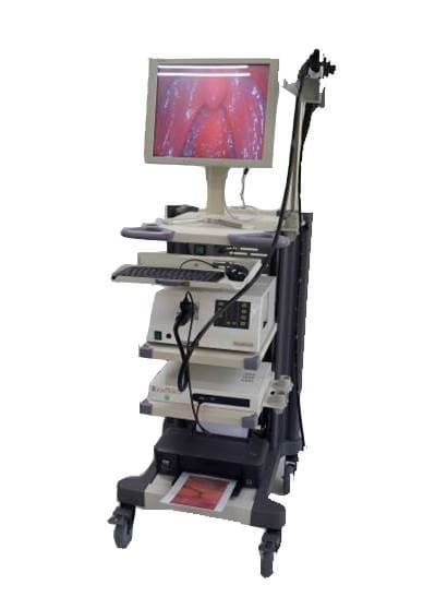 Endoscope video system